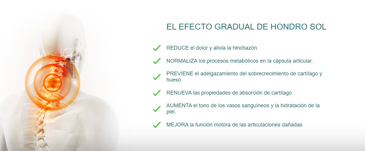Hondro Sol
